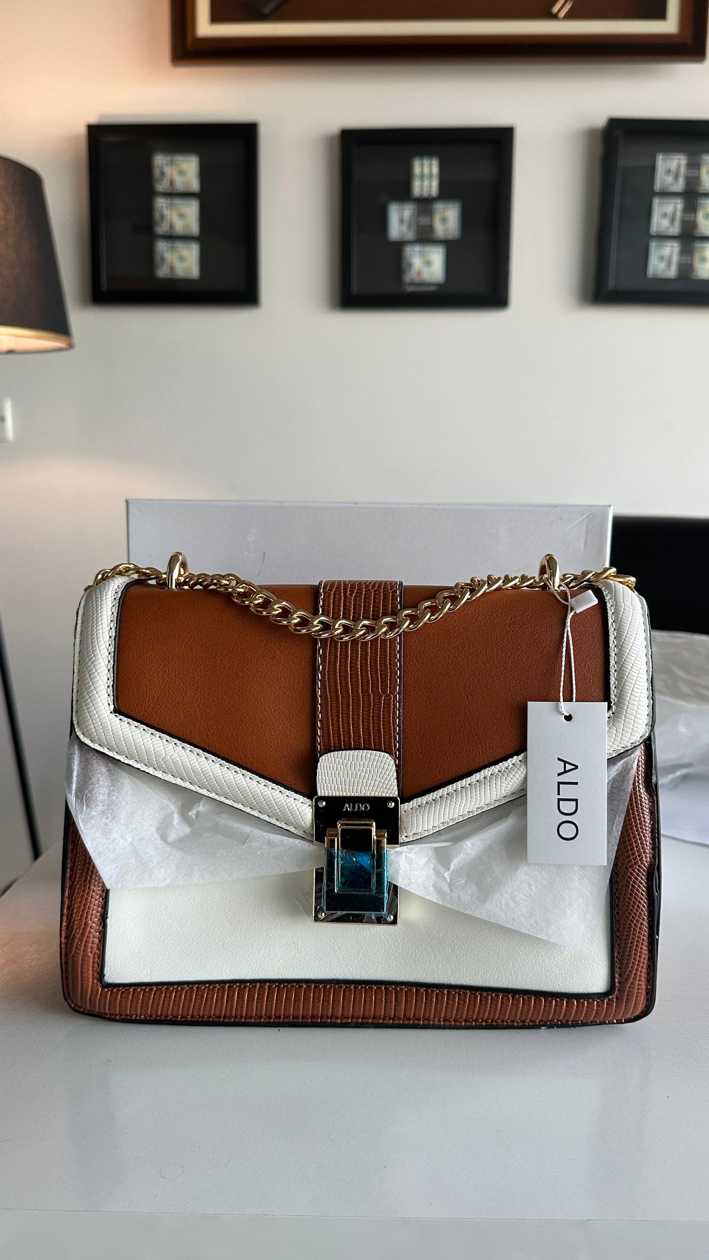 Aldo Crossbody Bag