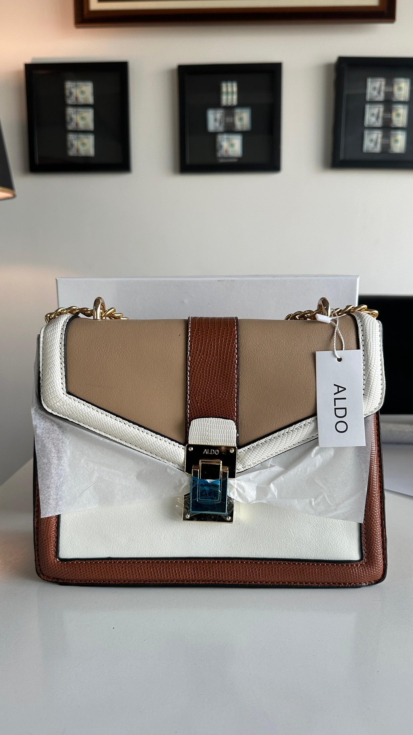 Aldo Crossbody Bag